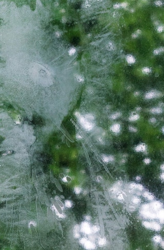 Hautabdruck auf Glasscheibe vor grünem Hintergrund