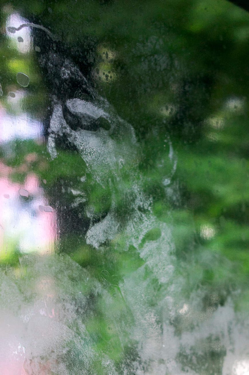 Gesichtabdruck auf Glasscheibe vor grünem Hintergrund